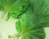 人参とチーズの春巻き♪オカノリ使用♪作り方1写真