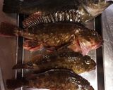 メバル・カサゴの煮付け作り方1写真