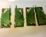 爽やか〜♫くるくる和風チーズ海苔巻き作り方5写真