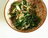 サッパリ夏ご飯～シソと茗荷と梅ゴハン作り方1写真