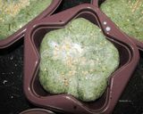 簡単♪よもぎあんパン☆ボールとゴムベラで作り方13写真