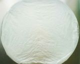基本の丸パン作り方6写真