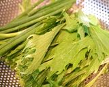 シャキシャキ水菜と小葱の生ハム生春巻き作り方1写真