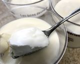 ボール１つで簡単ヨーグルトムース作り方7写真