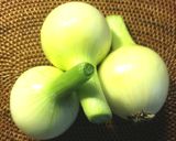 新玉ねぎの丸焼き　グランシェフ作り方1写真
