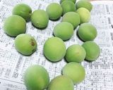梅酢ジュース作り方3写真