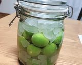 梅酢ジュース作り方8写真