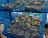 干しかぼちゃ作り方1写真