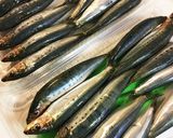 いわしの甘露煮作り方1写真