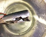 いわしの甘露煮作り方2写真