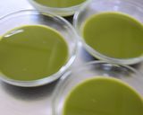 うちカフェ気分＊ふるふる抹茶ゼリー作り方10写真