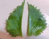 大葉の千切り方法作り方1写真