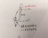 ふわふわ！チカのフライと唐揚げイラスト有作り方1写真