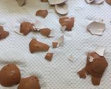 ジップロックで簡単☆カリカリ梅作り方6写真
