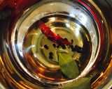 スシ酢で きゅうりとミニトマトのピクルス作り方3写真