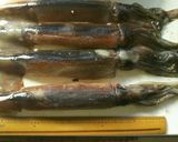 柔らか～いいか飯作り方1写真