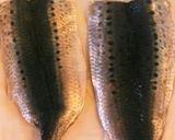 フライパンで作る♥サクサクいわしのフライ作り方1写真