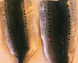 フライパンで作る♥サクサクいわしのフライ作り方1写真