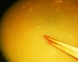 フライパンで超簡単さばみそ煮☆砂糖不使用作り方1写真