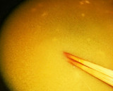 フライパンで超簡単さばみそ煮☆砂糖不使用作り方1写真