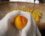 自家製梅干しの作り方作り方2写真