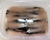 自家製 アンチョビ作り方11写真