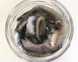 自家製 アンチョビ作り方15写真