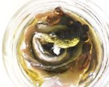 自家製 アンチョビ作り方16写真