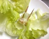 超楽々 レタス、キャベツ、白菜長期保存法作り方4写真