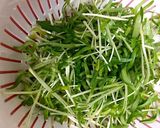 ミネラルたっぷり♪空心菜新芽と豆腐サラダ作り方1写真