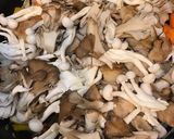 ダッチオーブン 無水ホルモンカレー作り方5写真