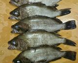 圧力鍋 メバルの甘露煮作り方1写真