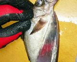 圧力鍋 メバルの甘露煮作り方3写真