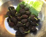 マルベリー桑の実ジャム 簡単軸取り作り方1写真
