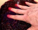 梅干し 下準備からシソ入れまで作り方37写真