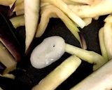 紫玉ねぎ塩漬けアレンジ作り方5写真