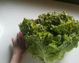レタスにんにく消費！やみつきレタしゃぶ♪作り方5写真