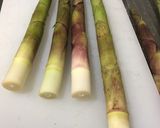 笹竹の山椒きんぴら作り方1写真