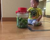梅酒作り方4写真