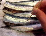 本格的！脂が乗ってる梅雨鰯の梅煮作り方1写真