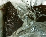 ココアういろう作り方6写真