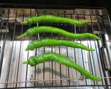 伏見とうがらしの鰹まぶし作り方2写真