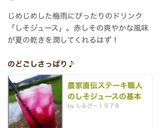 農家直伝ステーキ職人のしそジュースの基本作り方27写真
