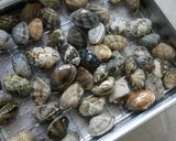 面白いあさりの酒蒸し鉄フライパン編作り方3写真