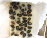 【水無月】意外と簡単！季節の和菓子作り方3写真