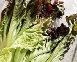 レタスの1週間長持ち方法作り方3写真