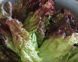 レタスの1週間長持ち方法作り方6写真