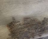 簡単豚バラと茄子じゃが芋の味噌煮込み作り方1写真