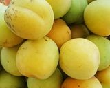 自家製☆梅醤油作り方1写真