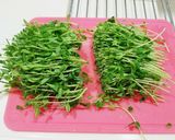 簡単❤豆苗の塩こんぶ炒め♪作り方1写真